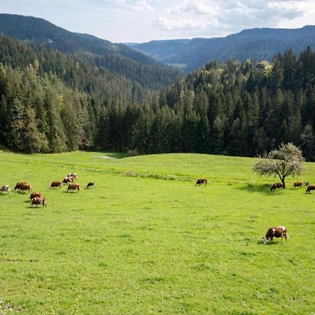Lovely Apartment In The Black Forest Филлинген-Швеннинген Экстерьер фото