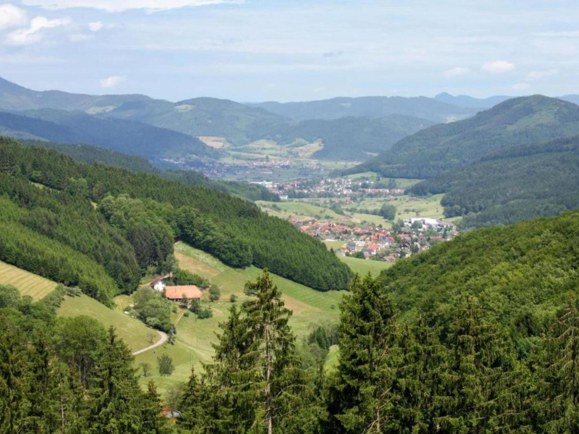 Lovely Apartment In The Black Forest Филлинген-Швеннинген Экстерьер фото