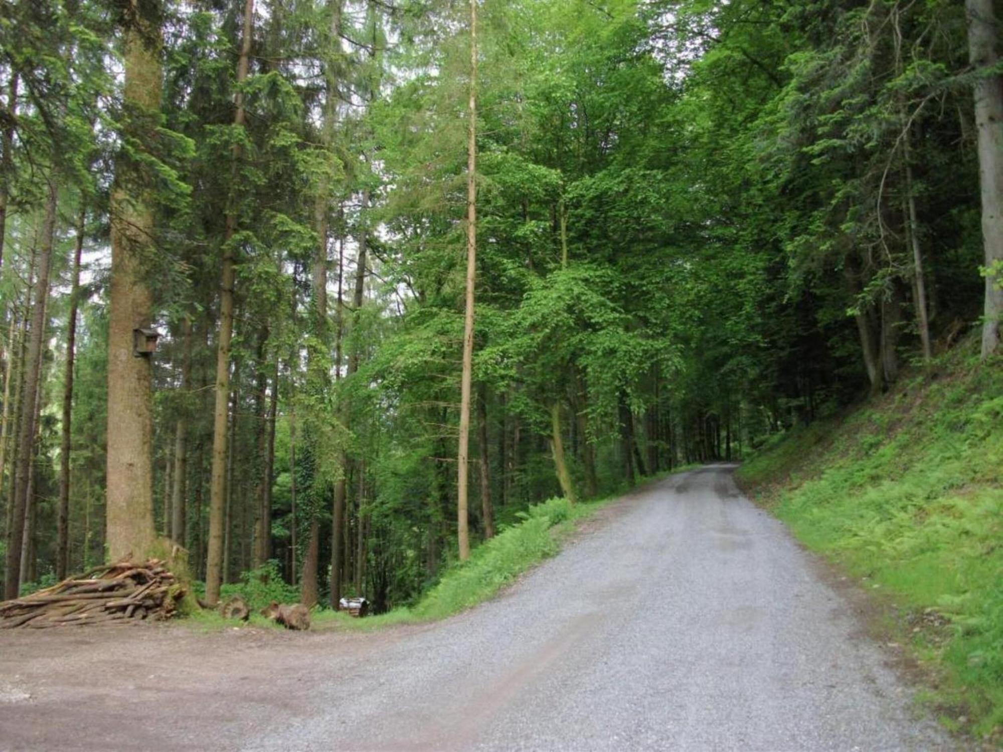 Lovely Apartment In The Black Forest Филлинген-Швеннинген Экстерьер фото