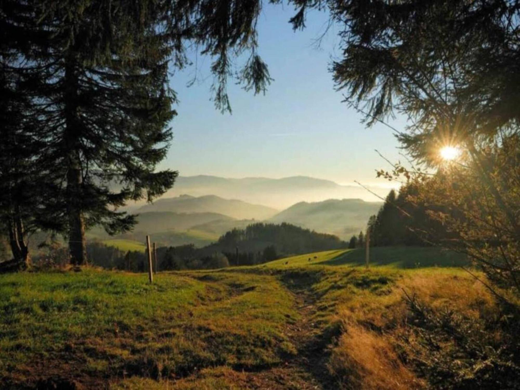 Lovely Apartment In The Black Forest Филлинген-Швеннинген Экстерьер фото