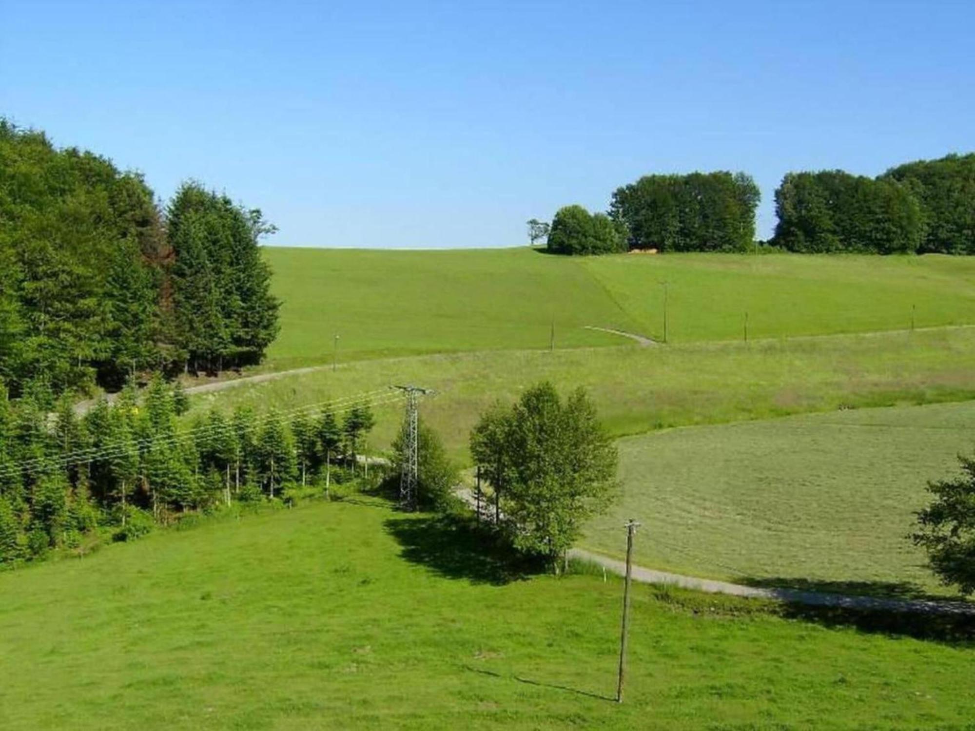 Lovely Apartment In The Black Forest Филлинген-Швеннинген Экстерьер фото