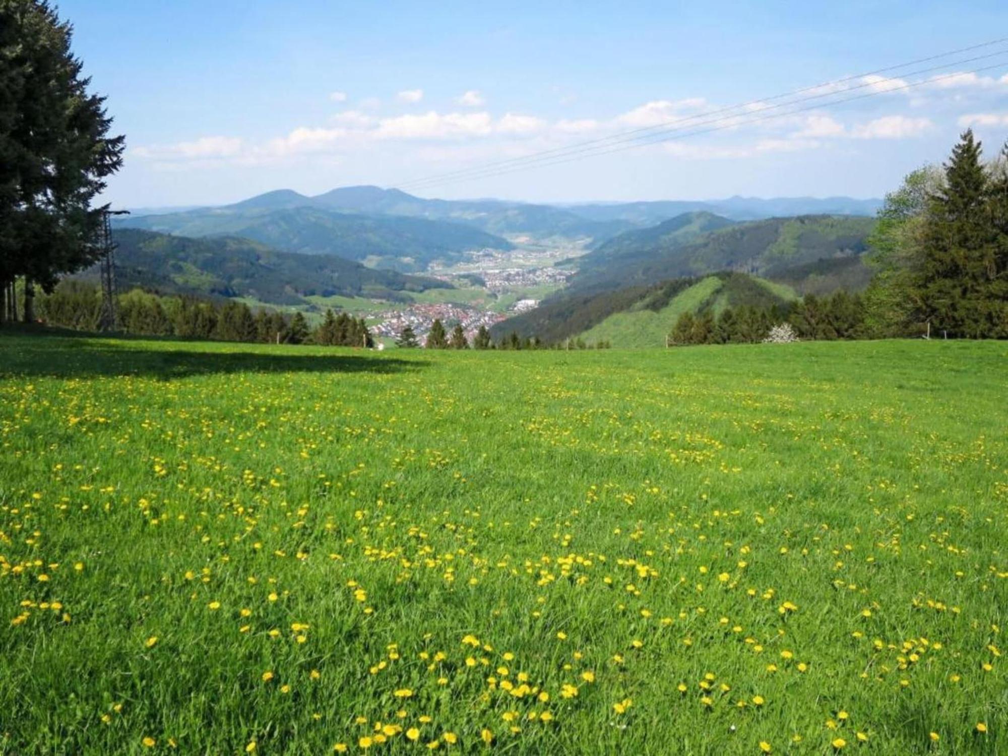 Lovely Apartment In The Black Forest Филлинген-Швеннинген Экстерьер фото