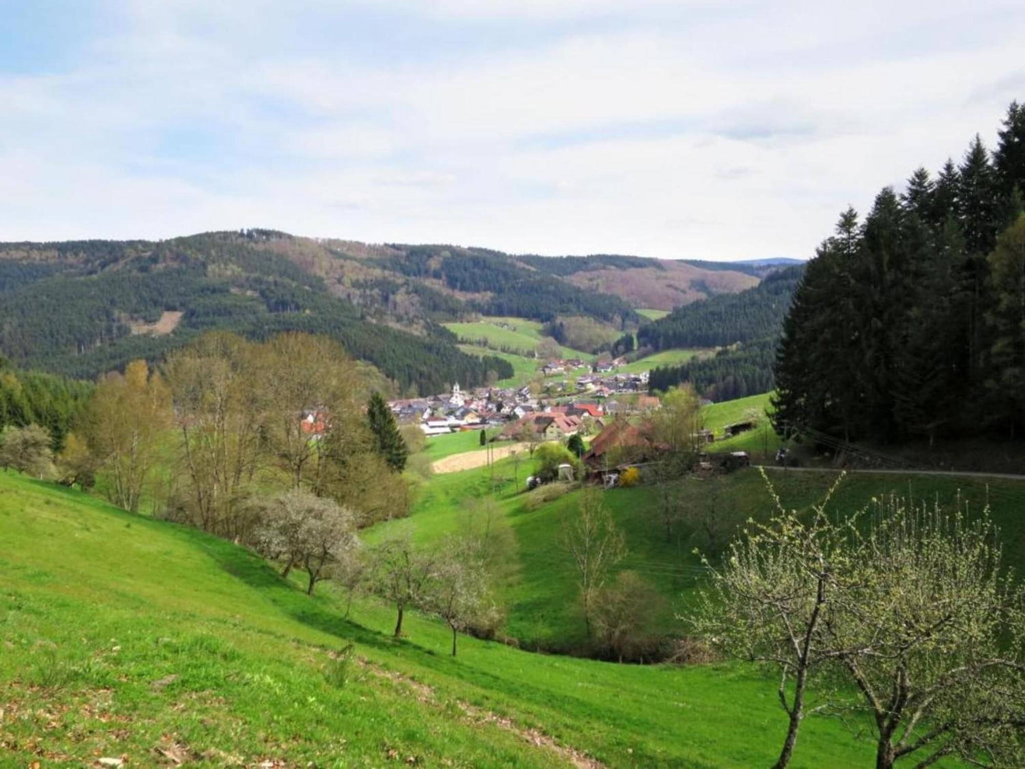 Lovely Apartment In The Black Forest Филлинген-Швеннинген Экстерьер фото