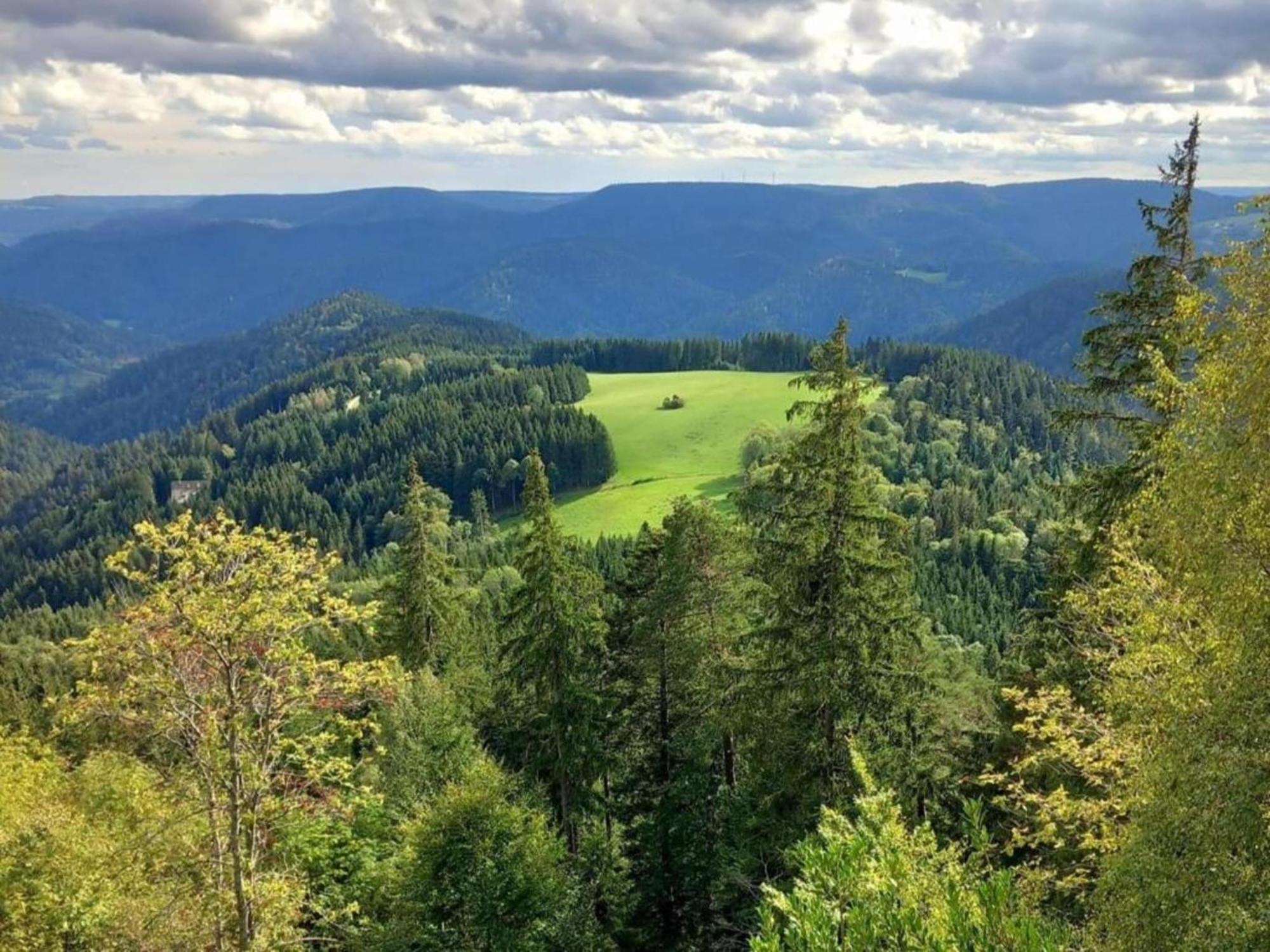 Lovely Apartment In The Black Forest Филлинген-Швеннинген Экстерьер фото